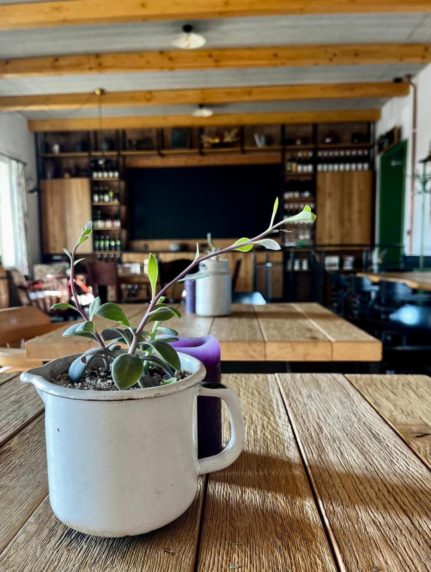 Penzion A Bistro Stary Kopec Znojmo Eksteriør bilde